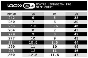 IQON AG15 Montre Livingston Pro Tan